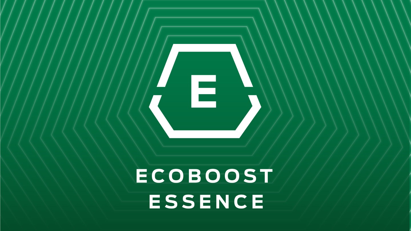 Ecoboost petrol icon