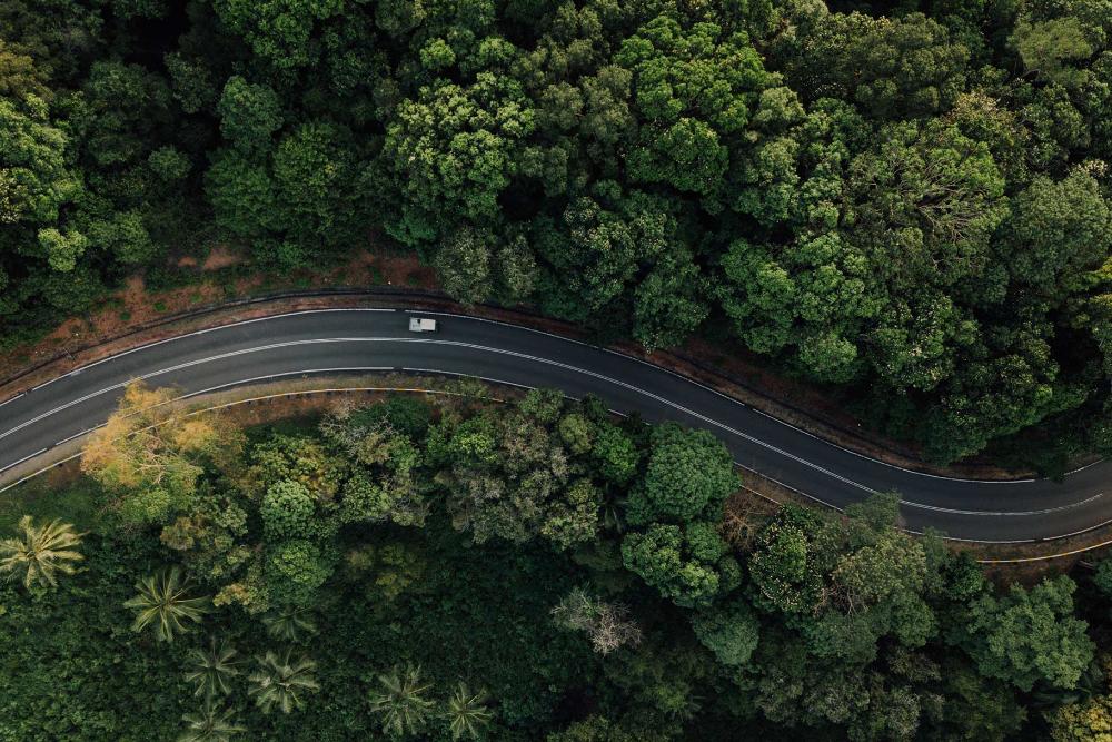 Vue aérienne d'un véhicule électrique Ford circulant sur une route forestière sinueuse.
